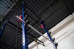 Salmon Ladder (adult)